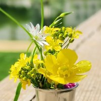 Лето в наперстке :: Любимова Ольга 