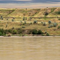 Река Кубань :: Игорь Сикорский Река Кубань :: Игорь Сикорский