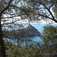 Природа Крыма :: Amazing Cosmea