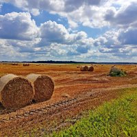 Жатва закончена! :: Vladimir Semenchukov Жатва закончена! :: Vladimir Semenchukov