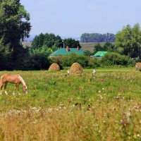 ...на хуторе близ БерезОвки. :: Николай Рубцов ...на хуторе близ БерезОвки. :: Николай Рубцов