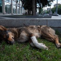 *** :: Валерий Михмель 