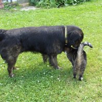 Дружная семья :: Freddy 97