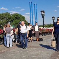 *** :: Владимир Захаров