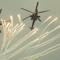 Беркуты :: Сергей Рузаев 