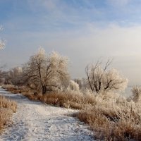Январский похожий денёкъ :: Олегъ Петрович