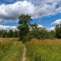 Вторая половина Августа :: Андрей Дворников