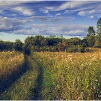 Август :: Валентин Котляров