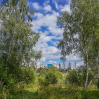 Палитра августа... :: Владимир Жданов