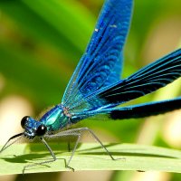 из снятого сегодня 3 :: Александр Прокудин