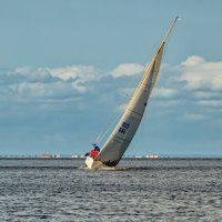 Про Питер :: Владимир Колесников