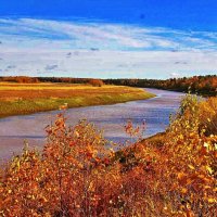 Осень позолотила берега протоки Девкина! :: Владимир Осень позолотила берега протоки Девкина! :: Владимир