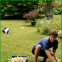 Сбор урожая. :: Ольга Довженко