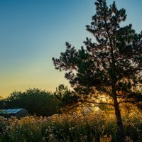 Рассвет :: Петр 