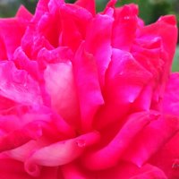 ,, :: Сергей Тимоновский