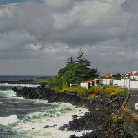 Magic Azores 81 :: Arturs Ancans