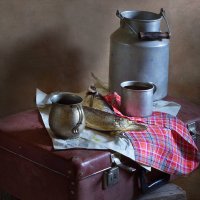 Чехонь и щука под пиво :: Наталья S