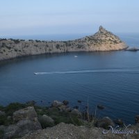 Природа Крыма :: Amazing Cosmea