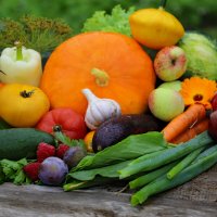 19 августа :: краснов юрий 