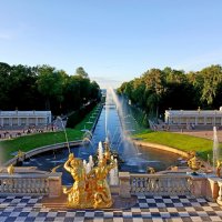 Друзья, со Всемирным Днём фотографии! :: Лия ☼ Друзья, со Всемирным Днём фотографии! :: Лия ☼