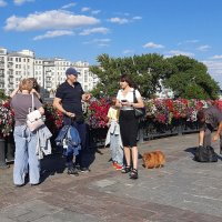 *** :: Владимир Захаров