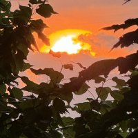 Закат :: Анна Камс