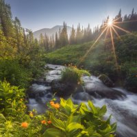 Рассвет у ручья Чистайга :: Максим Токарев