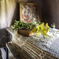 Контраст :: sorovey Sol