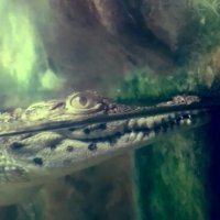 112 (215) :: СТРЕН 