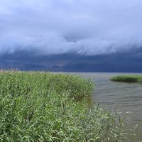 Берег :: redfox Берег :: redfox