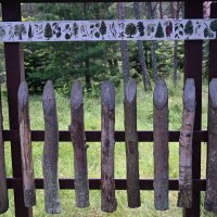 Берег :: redfox 