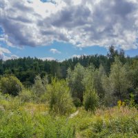 Под небом августа... :: Владимир Жданов Под небом августа... :: Владимир Жданов
