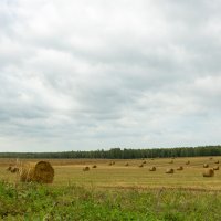 Хлеб - всему голова. :: Yuri Chudnovetz