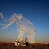 Слон... :: Evgeny Mameev