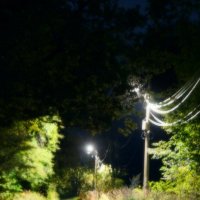 *** :: Леонид leo