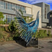 Птица :: Анатолий Чикчирный Птица :: Анатолий Чикчирный