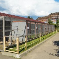 ВОЛЬЕРЫ :: Сергей Янович Микк