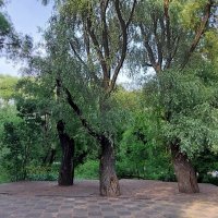 В парке Отрадное :: ИРЭН@ .