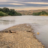 река Кубань :: Игорь Сикорский