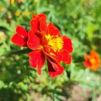 ,,, :: Сергей Тимоновский ,,, :: Сергей Тимоновский