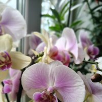 ) :: Андрей ) :: Андрей