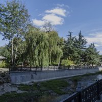 Природа в Гагаринском прке :: Валентин Семчишин Природа в Гагаринском прке :: Валентин Семчишин