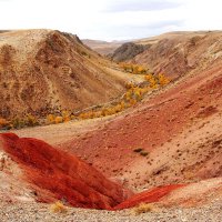 НА КРАСНОЙ ПЛАНЕТЕ :: Елена Даньшина