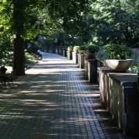 Кисловодск. Парк :: Evgeny Mameev