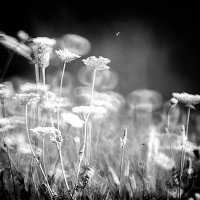 ... :: Jiří Valiska