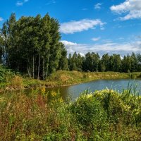 Вторая половина Августа 4 :: Андрей Дворников Вторая половина Августа 4 :: Андрей Дворников