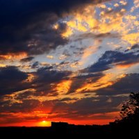 *** :: Игорь Kуленко *** :: Игорь Kуленко