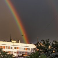 Про Питер :: Владимир Колесников