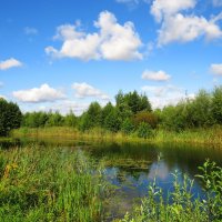 Протока у озера :: Андрей Снегерёв Протока у озера :: Андрей Снегерёв