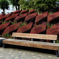 ***** :: ИННА ПОРОХОВА ***** :: ИННА ПОРОХОВА